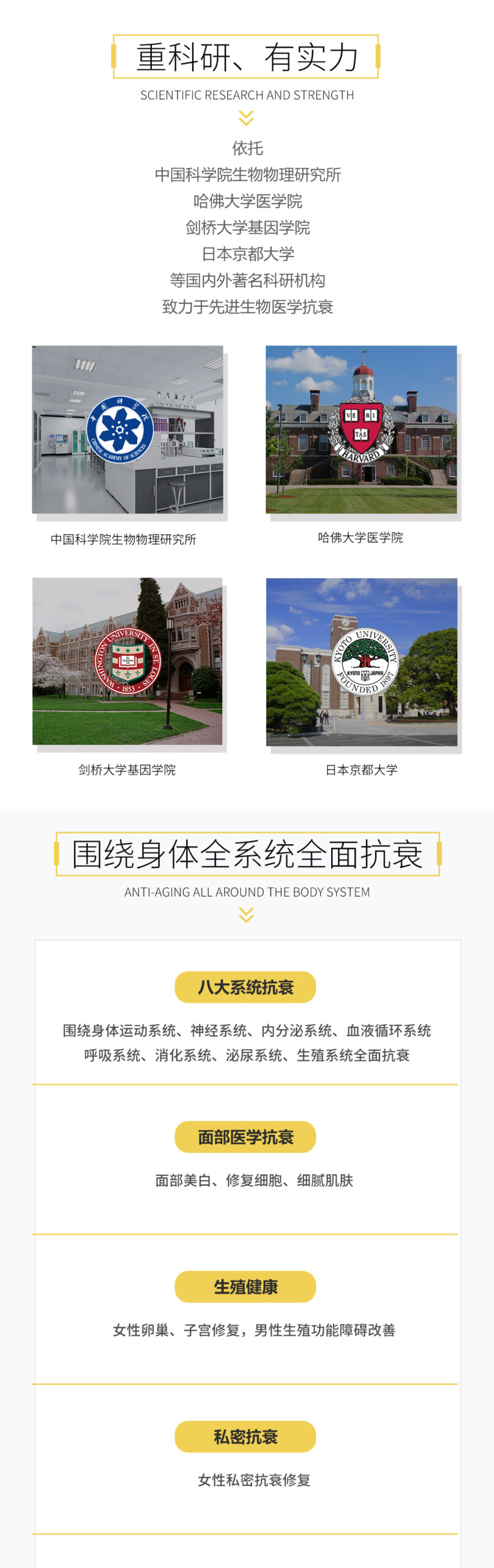 系統抗衰配圖
