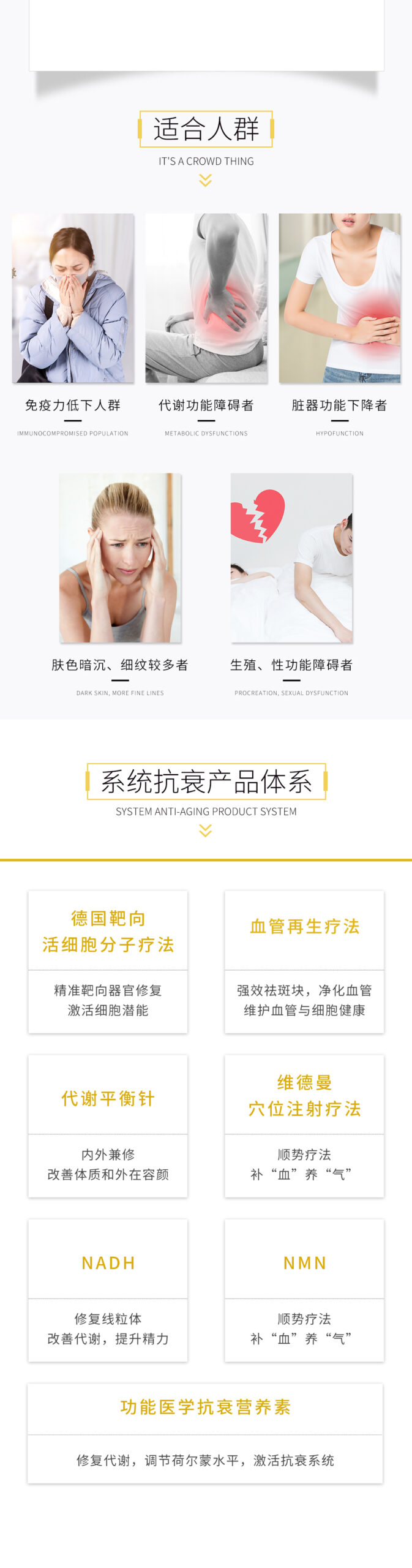 系統抗衰配圖